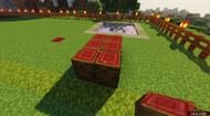 Mangrove logs (Image via Mojang)
